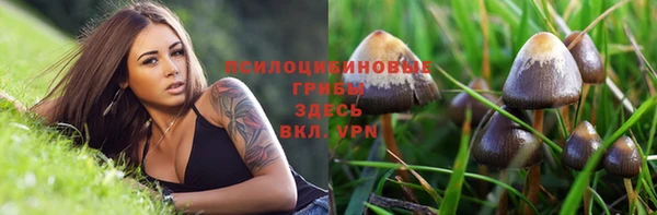 МДМА Горно-Алтайск