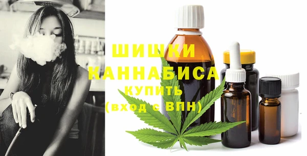 apvp Горняк