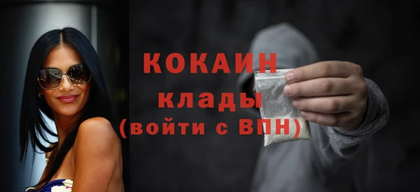 apvp Горняк
