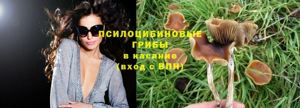 альфа пвп Гусиноозёрск