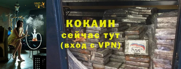 apvp Горняк